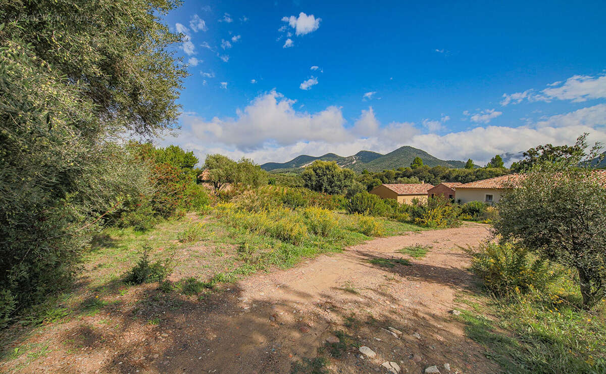Terrain à SAINT-FLORENT