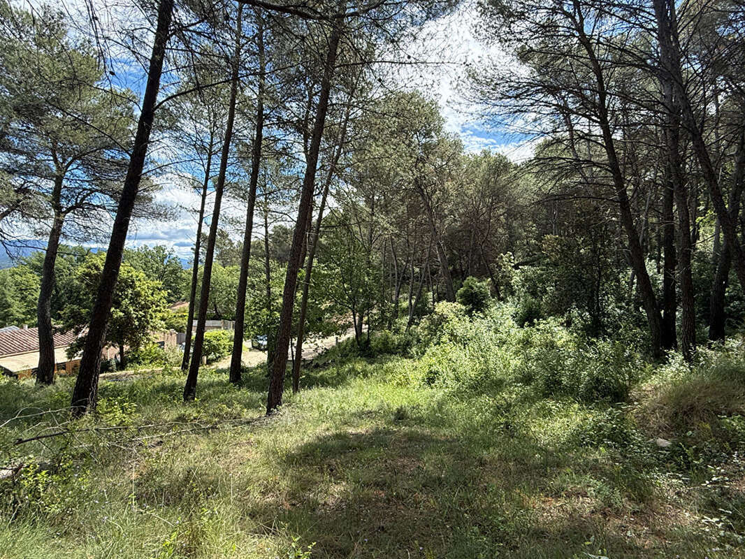 Terrain à LA ROQUE-D'ANTHERON