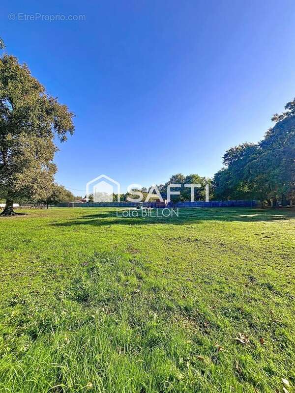 Photo 3 - Terrain à LA TESTE-DE-BUCH