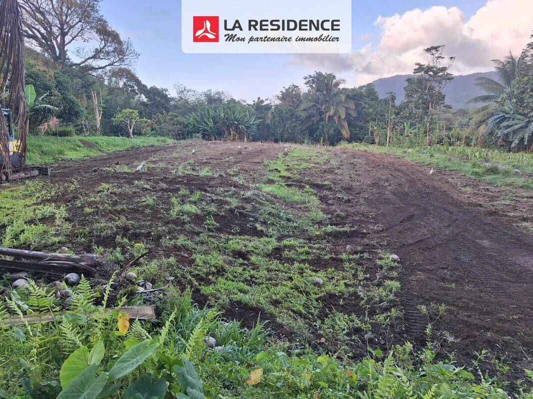 Terrain à LE MORNE-ROUGE