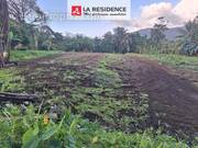 Terrain à LE MORNE-ROUGE