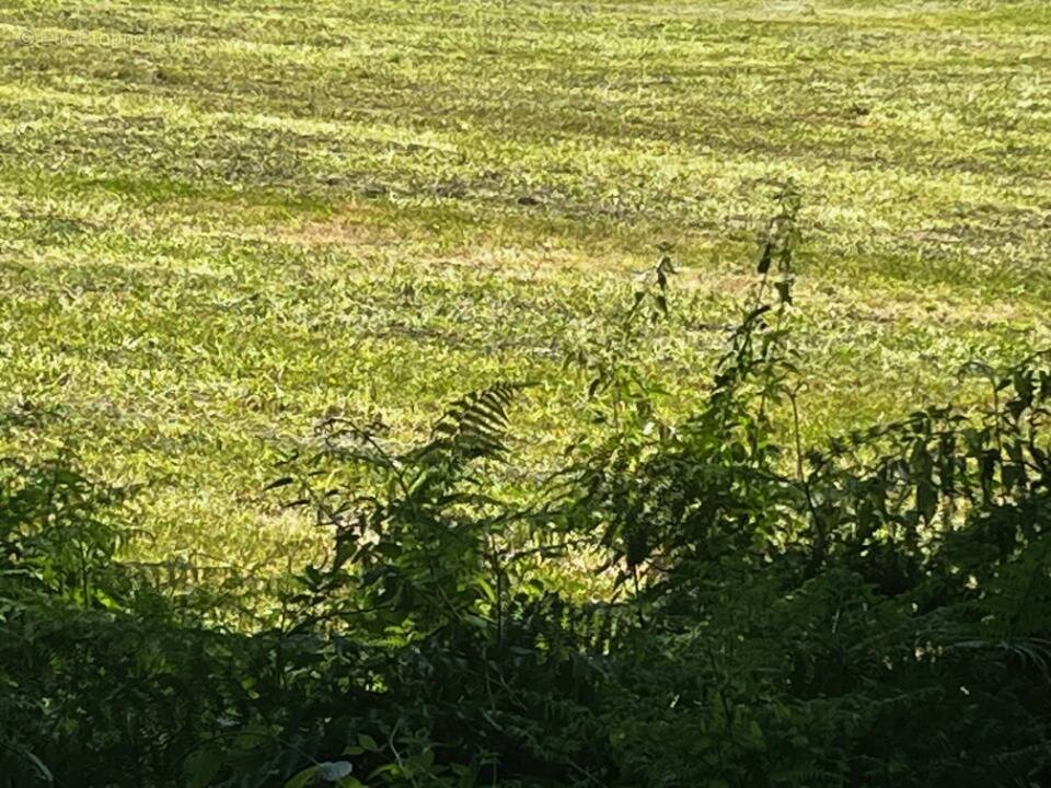 Terrain à GEMOZAC
