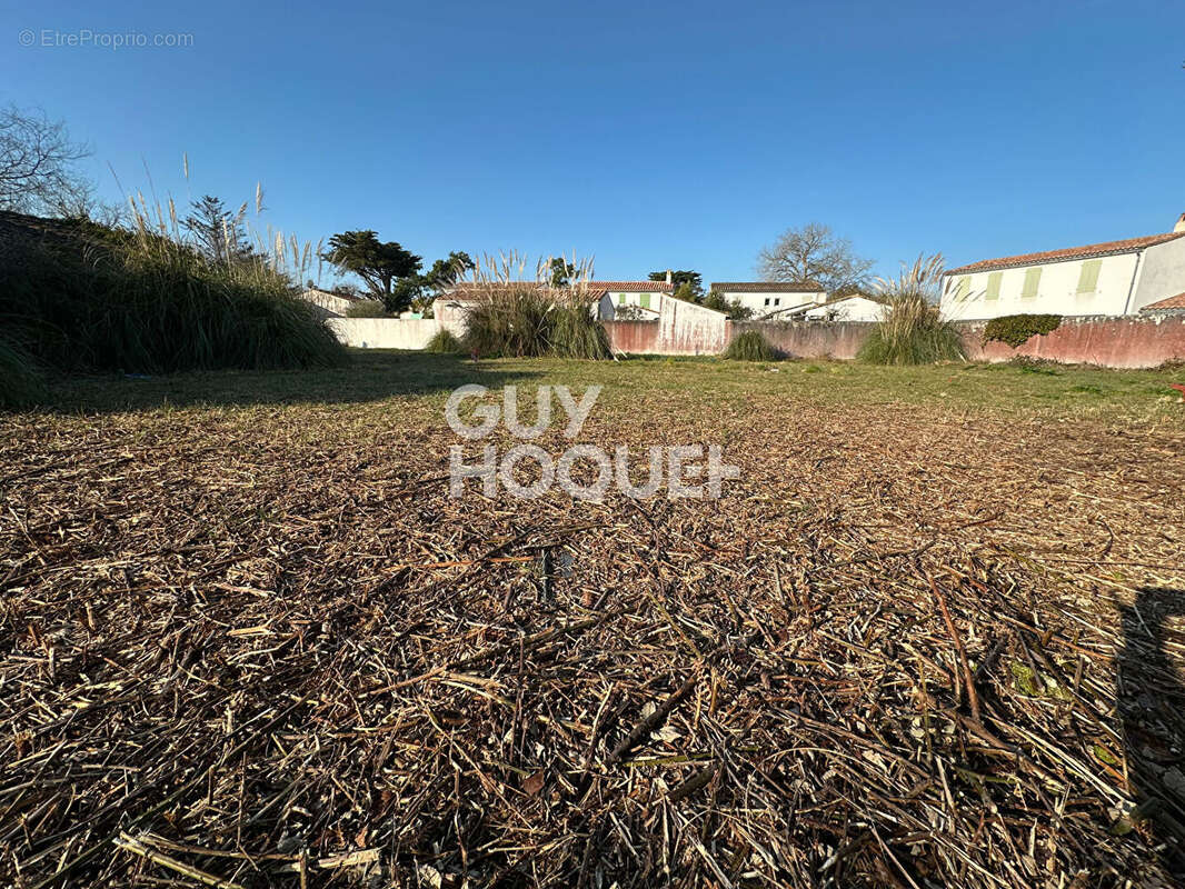 Terrain à LES PORTES-EN-RE