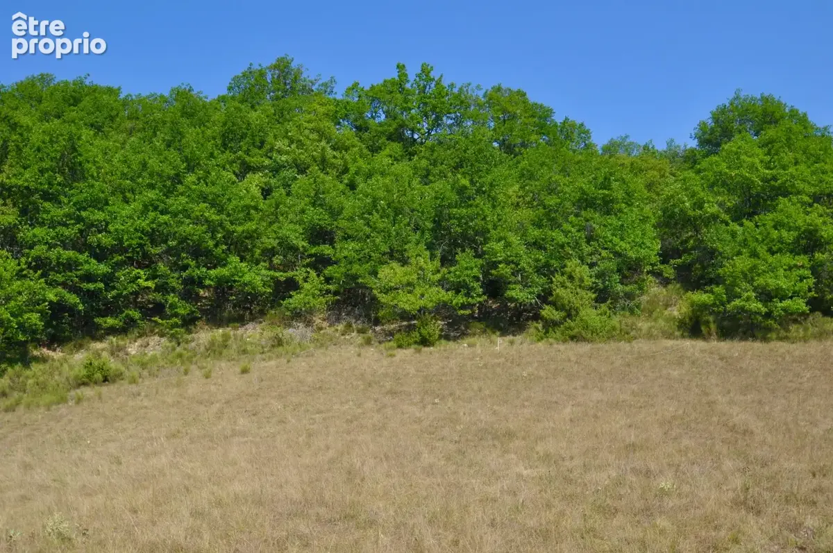 Dpt Alpes de Haute Provence (04), à vendre Proche ENTREVAUX Superbe terrain de plus d'un hectare avec vue montagnes - photo 6