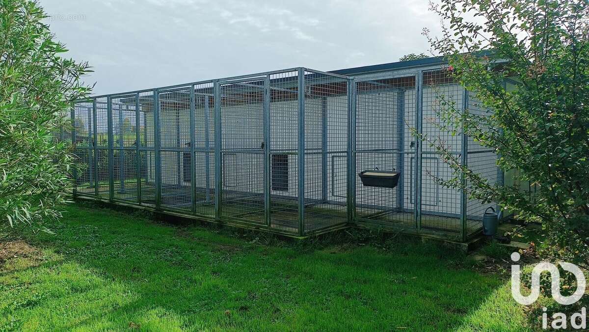 Photo 6 - Maison à MONTENDRE