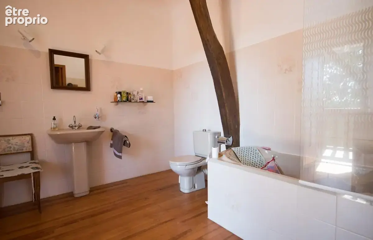 Maison  entre Mirande et Marciac 9 pièce(s) 248 m2 - photo 13