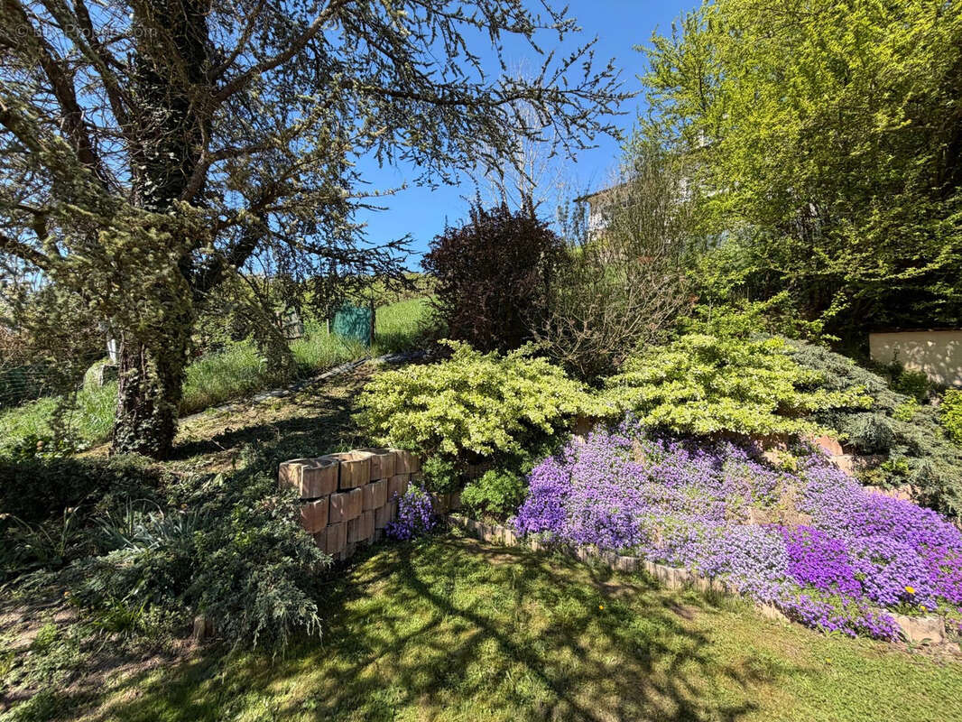 Maison à SAINT-CERGUES