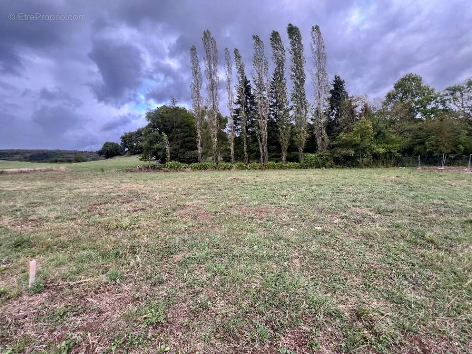 Terrain 800 m² à Revonnas  - photo 2