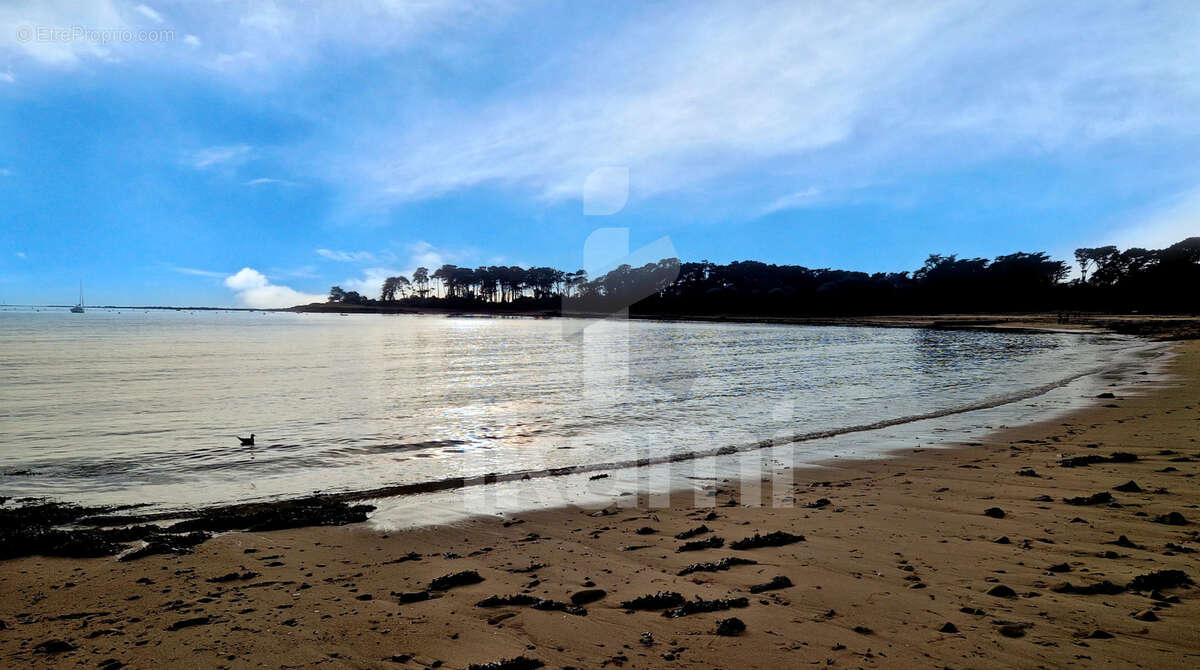 Maison à SAINT-PHILIBERT