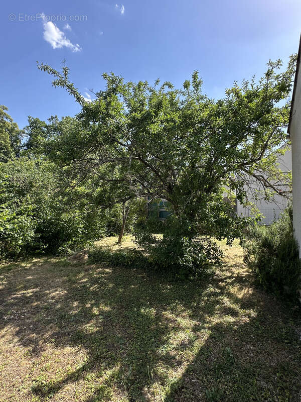 Maison 90 m² à Vaux-Le-Penil  - photo 5