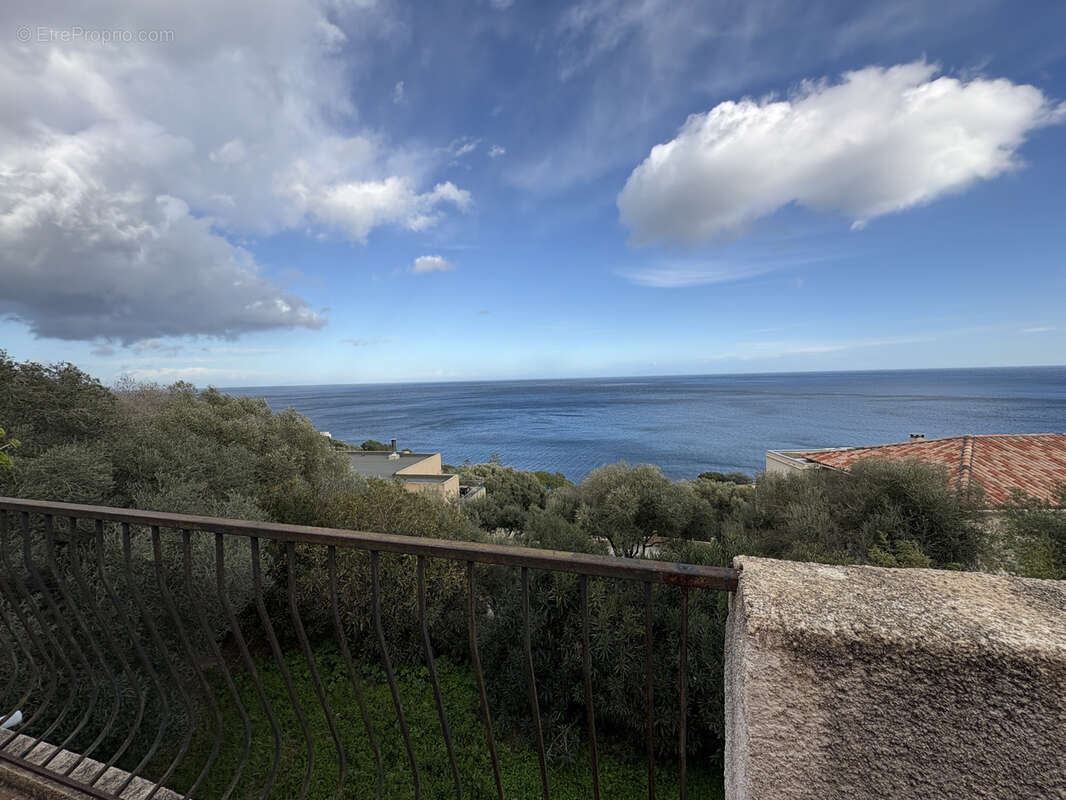 Appartement à SAN-MARTINO-DI-LOTA