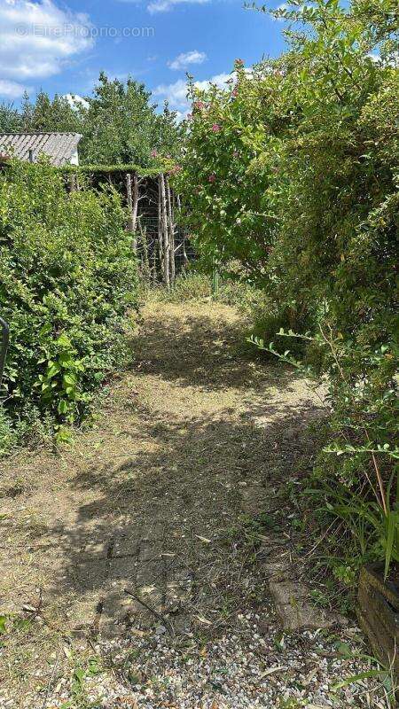 Maison à MAISONS-ALFORT