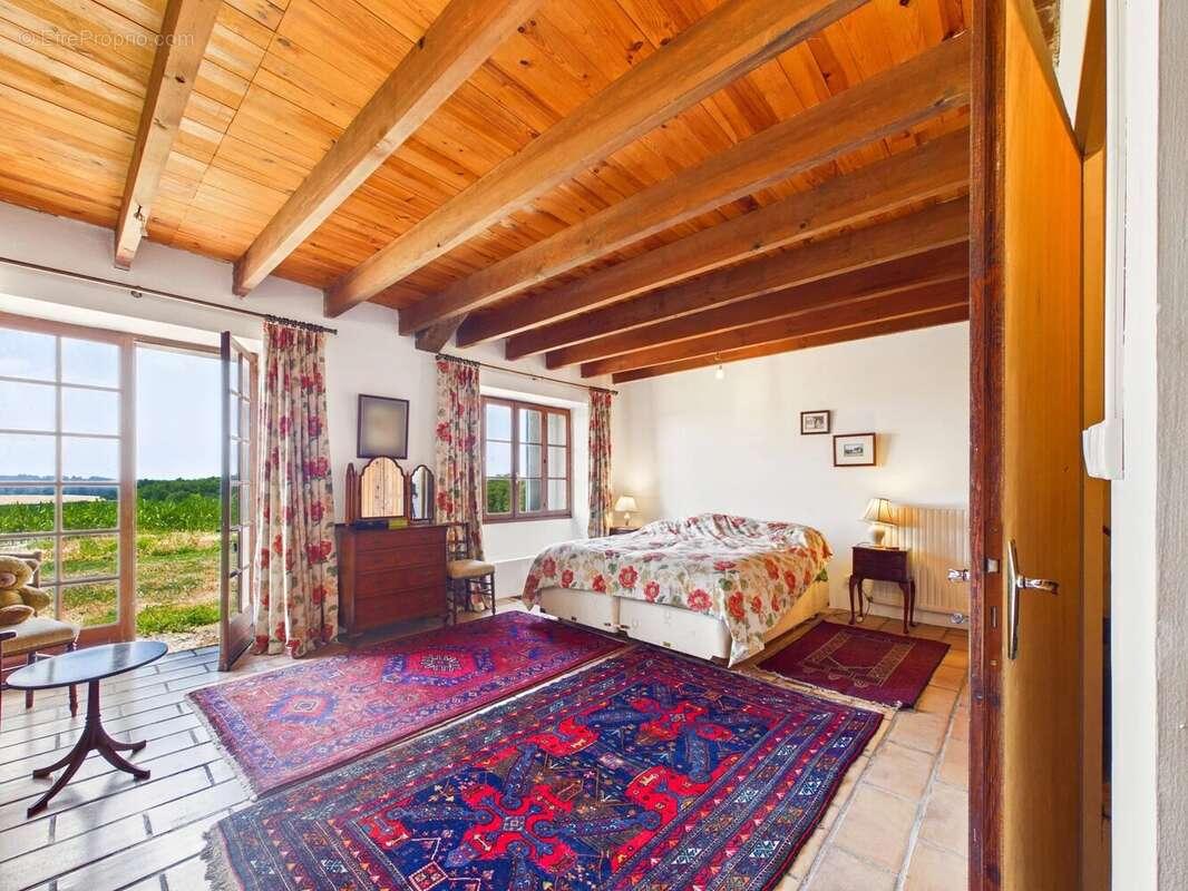 Immense maison de 4 chambres avec grande piscine et sans voisins proches - photo 4