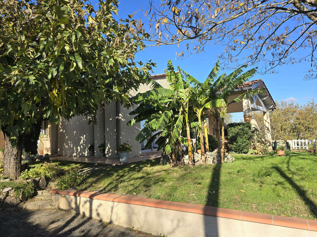 Maison à LISLE-SUR-TARN