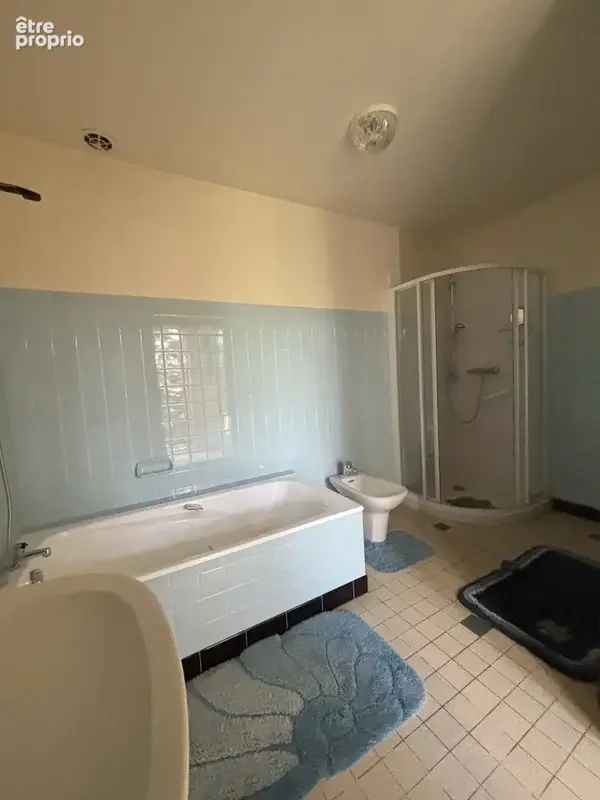 BUNCEY ( proche de CHATILLON SUR SEINE) corps de ferme avec habitation et bâtiments sur 2400m2 - photo 14