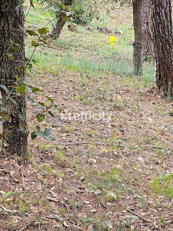 Terrain à SAINT-CLEMENT-DE-RIVIERE