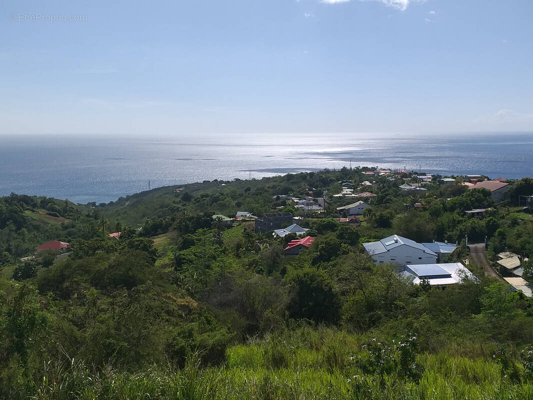 Terrain à VIEUX-HABITANTS