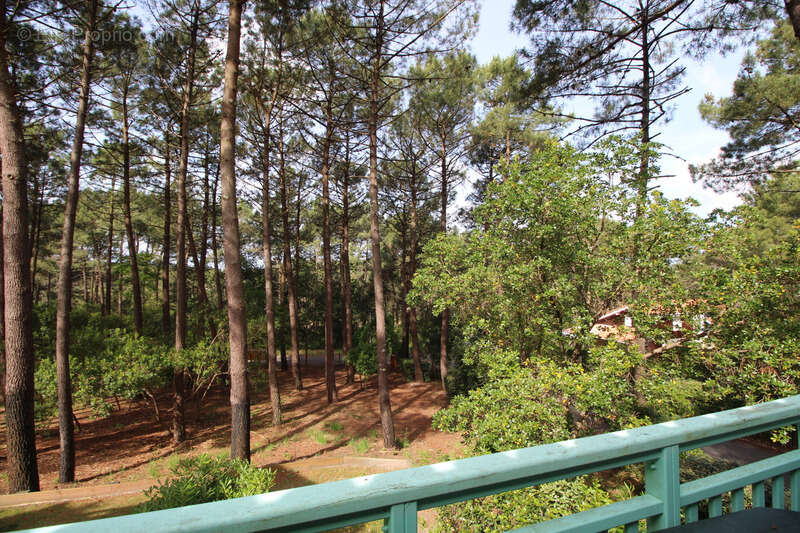 Appartement à LACANAU