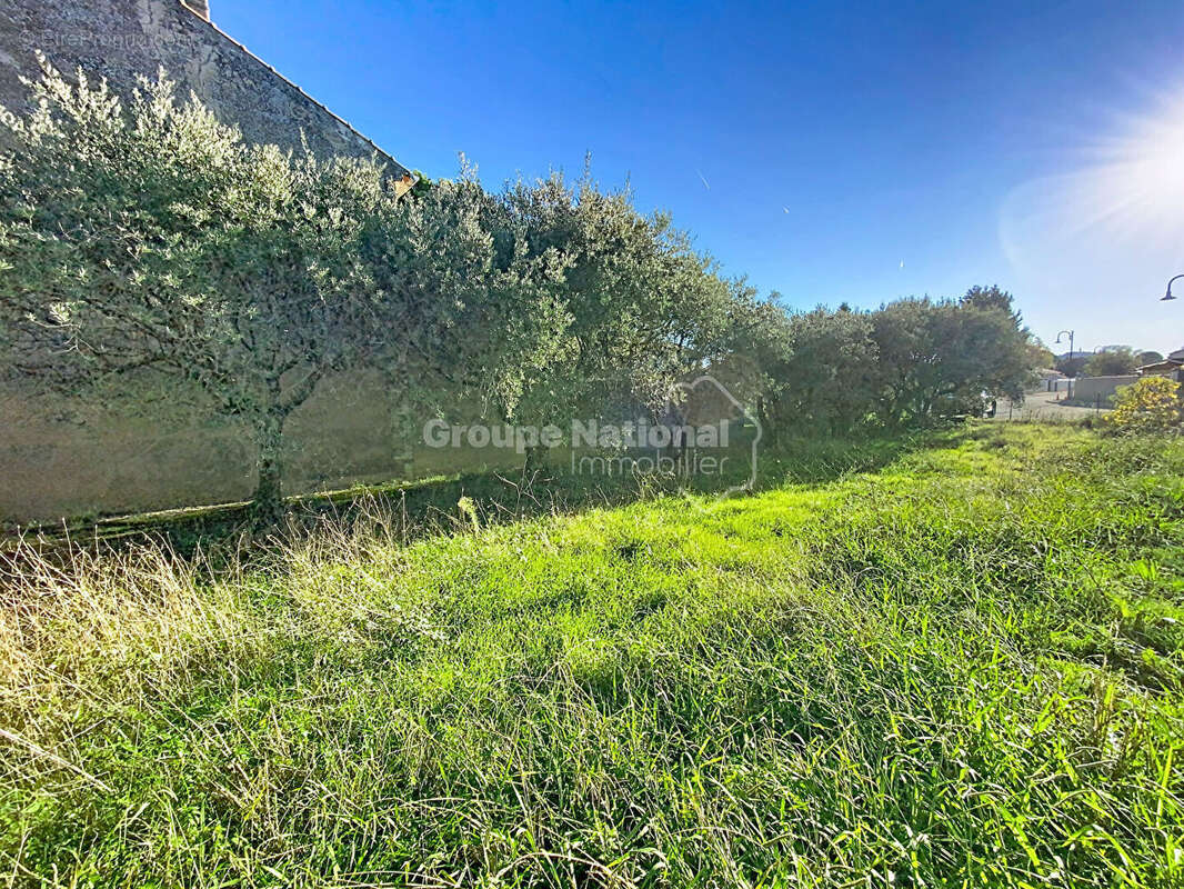 Terrain à CHEVAL-BLANC