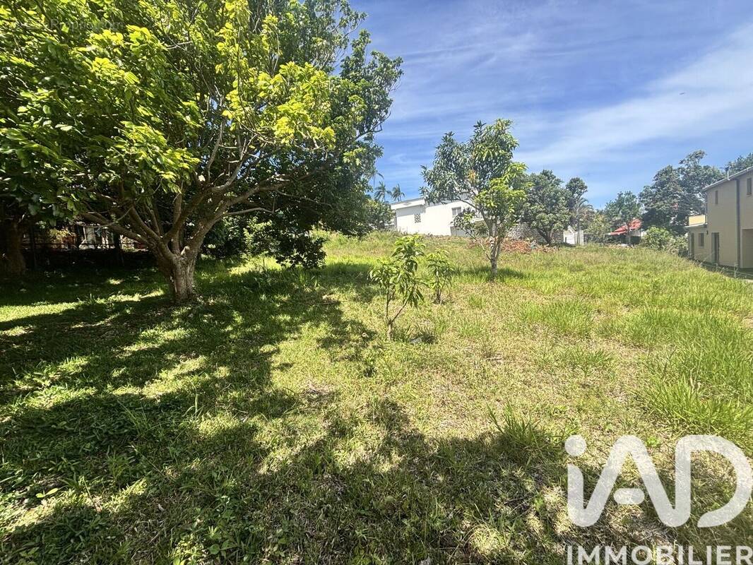 Photo 1 - Terrain à SAINT-PIERRE