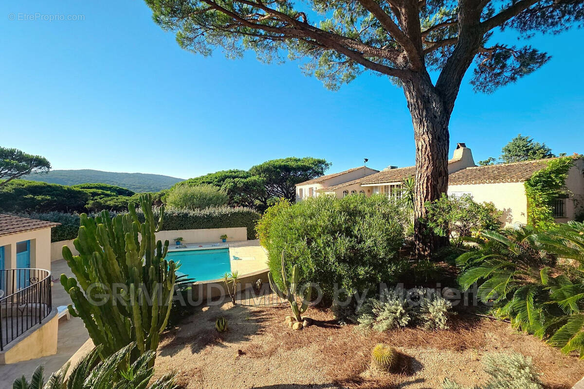 Maison à RAMATUELLE