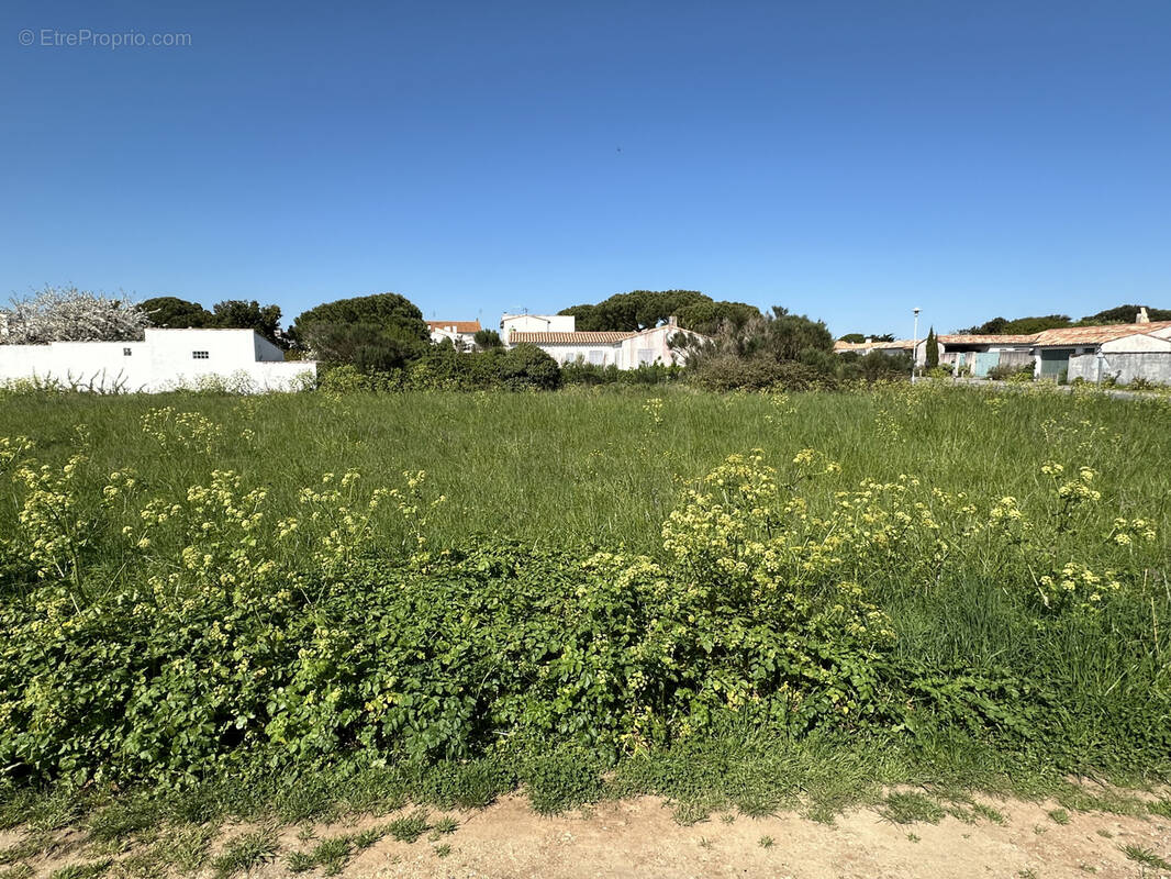 Terrain à LOIX