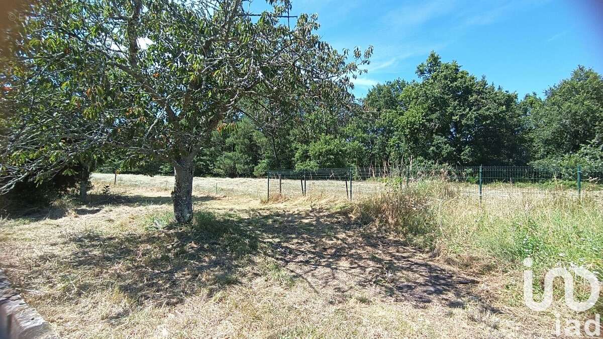 Photo 7 - Maison à MONTENDRE