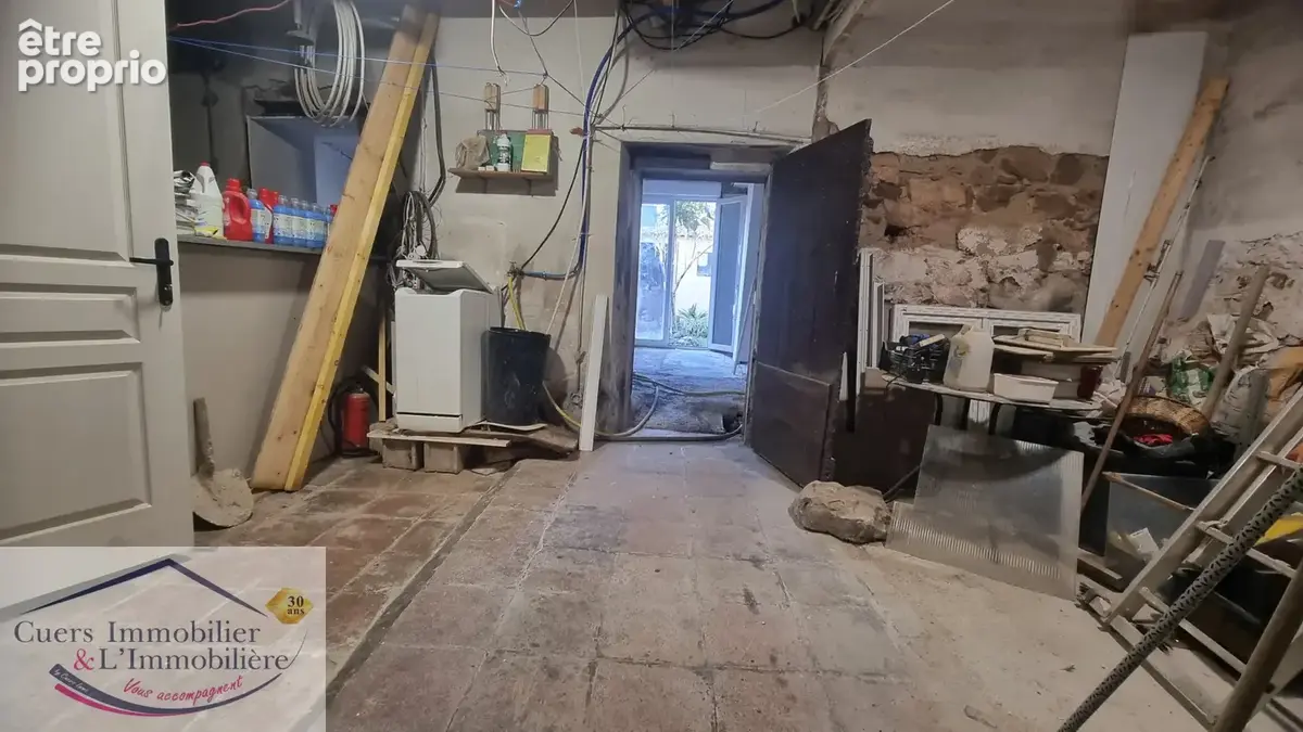 La farlede maison de ville avec cour et grand garage - photo 14