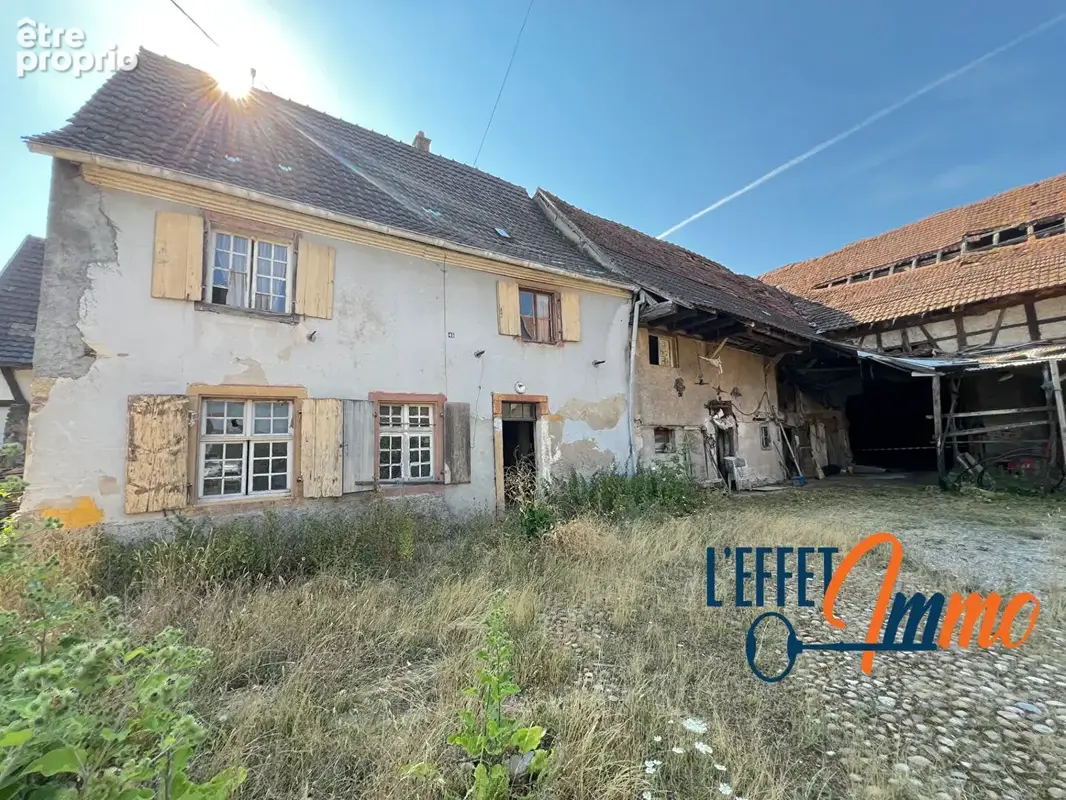 Maison à SAINTE-CROIX-EN-PLAINE