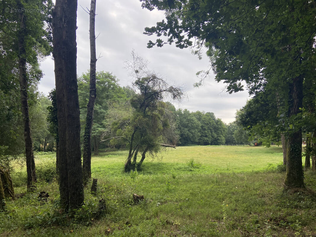 Terrain à LES SALLES-DE-CASTILLON