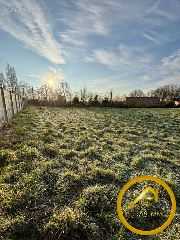 Terrain à COURCELLES-LE-COMTE