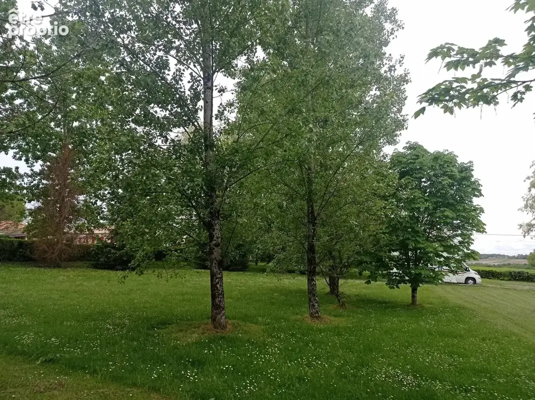 Propriété en bordure de ville dans un parc. - photo 5