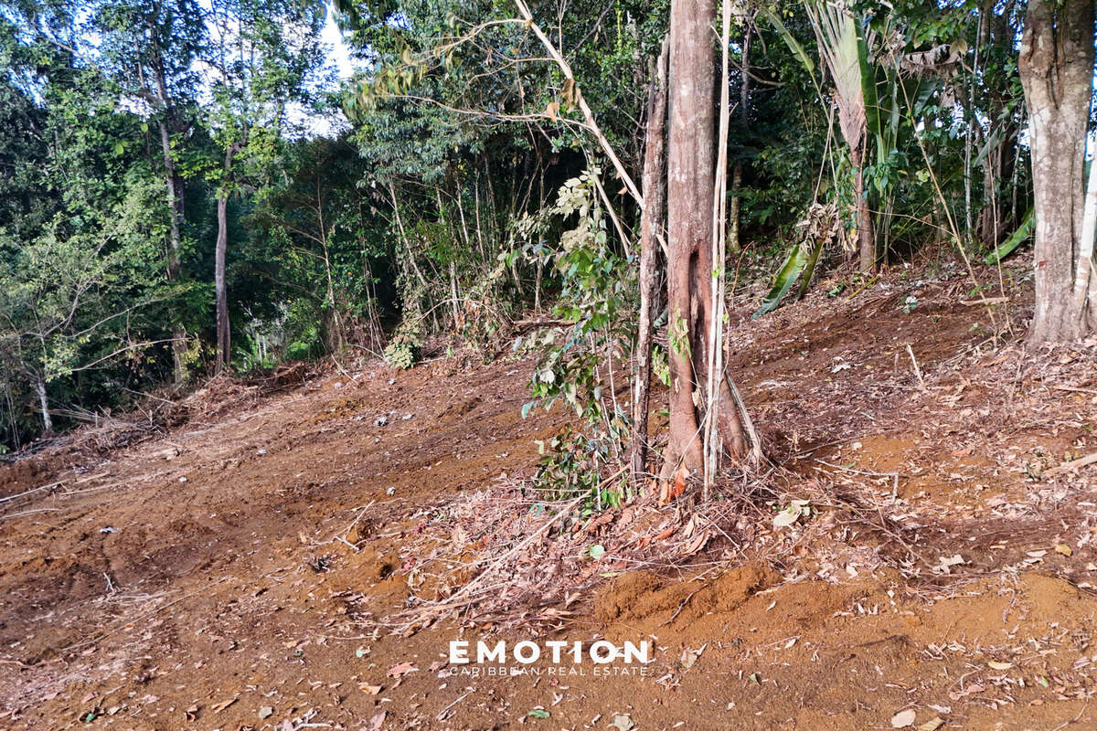 Terrain à PETIT-BOURG