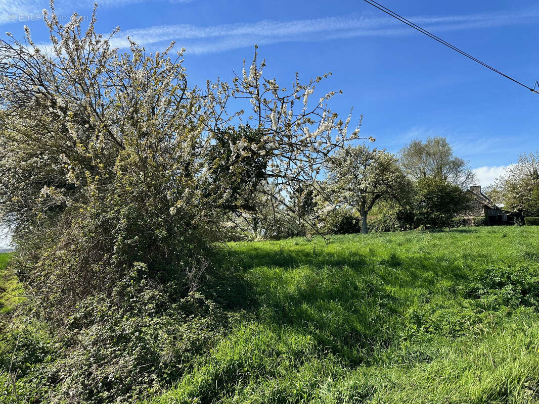 Maison à HENANBIHEN
