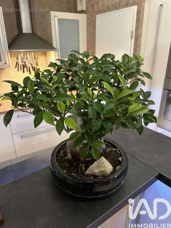 Photo 8 - Appartement à DEVILLE-LES-ROUEN