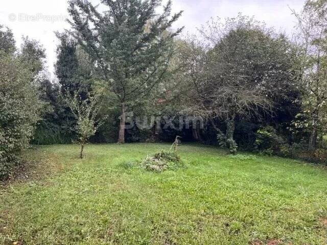 Maison à CHATEAU-SALINS