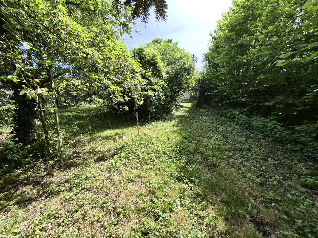 Maison avec dépendance et 2000 m2 terrain - photo 40