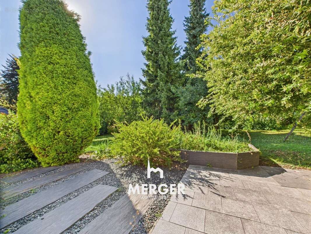 Maison à MITTELHAUSBERGEN