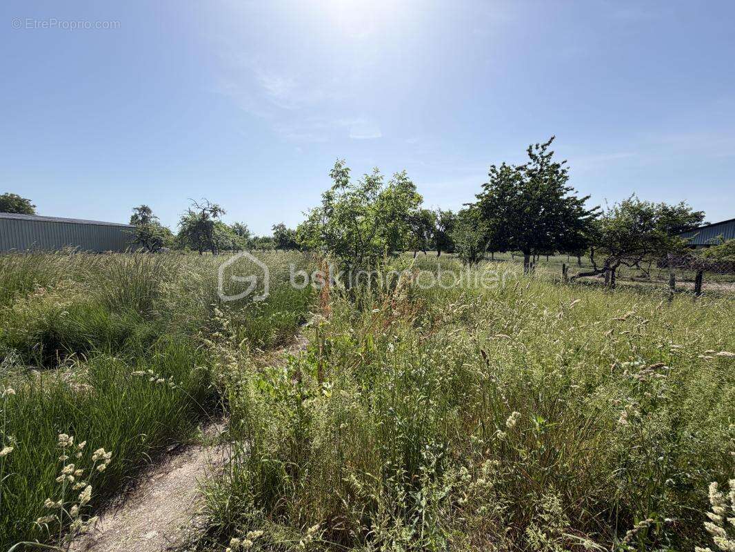 Grande maison de campagne avec plusieurs dépendances - photo 15