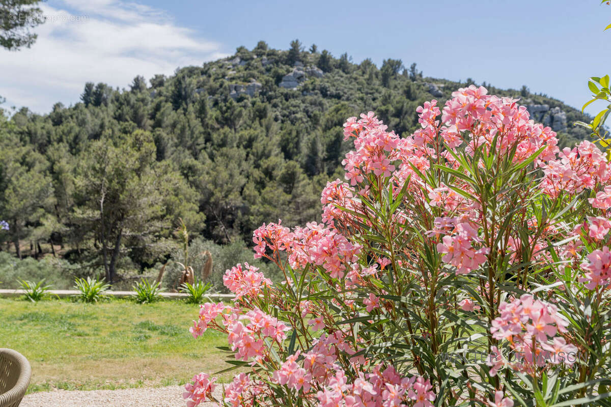 Maison à LES BAUX-DE-PROVENCE