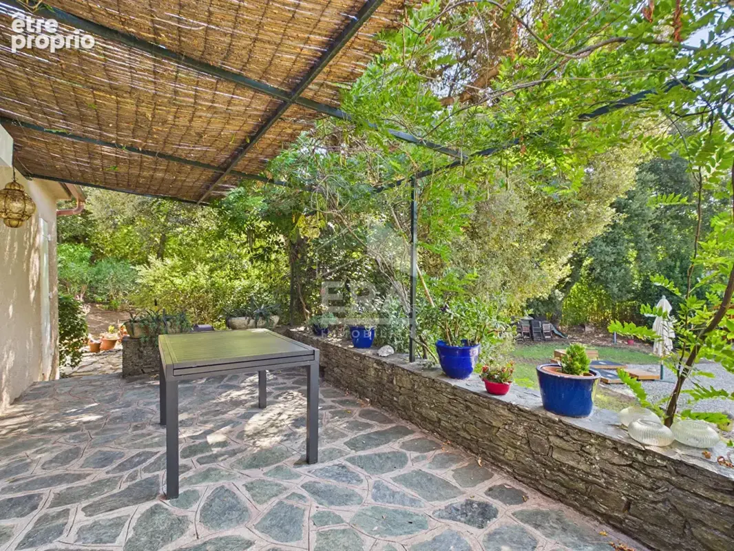 Maison familiale avec pisicine à oletta - photo 17