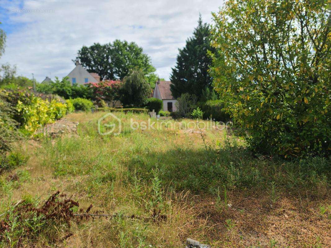 Terrain constructible de 1015m2 - photo 5