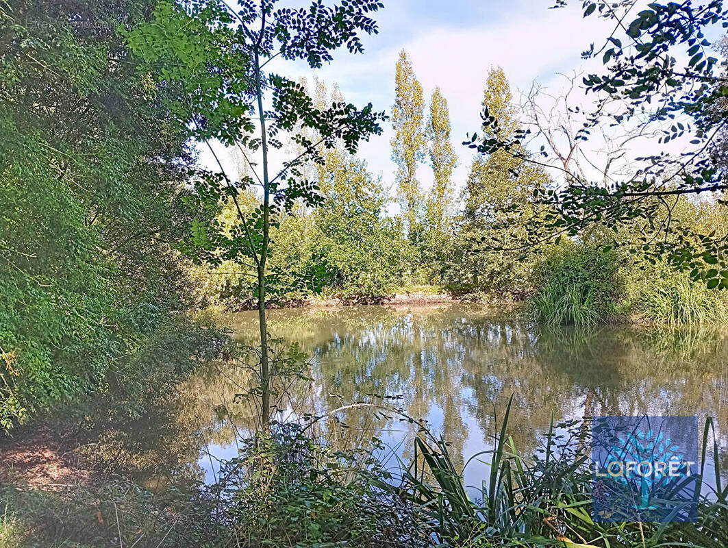 Terrain à AIZENAY