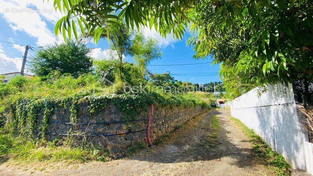 Terrain à SAINT-PAUL