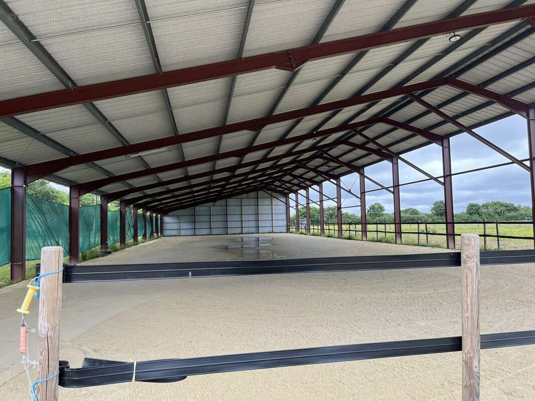 Commerce 260000 m² à La Chapelle-Launay  - photo 6