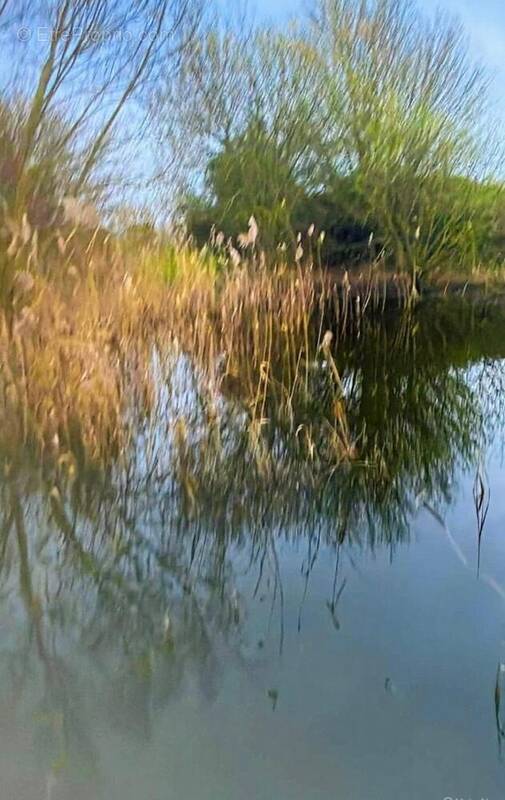 Photo 1 - Terrain à CAPPELLE-BROUCK