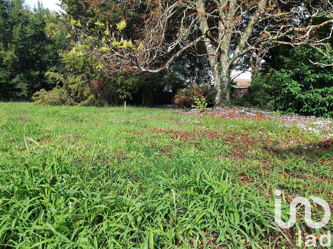 Photo 3 - Terrain à CASTELNAU-DE-MEDOC