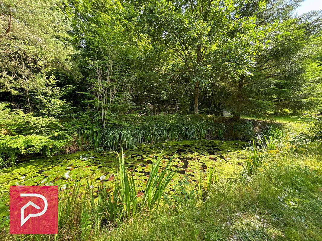 Maison secteur Mesnil en Ouche 115m2, bel environnement ! - photo 13