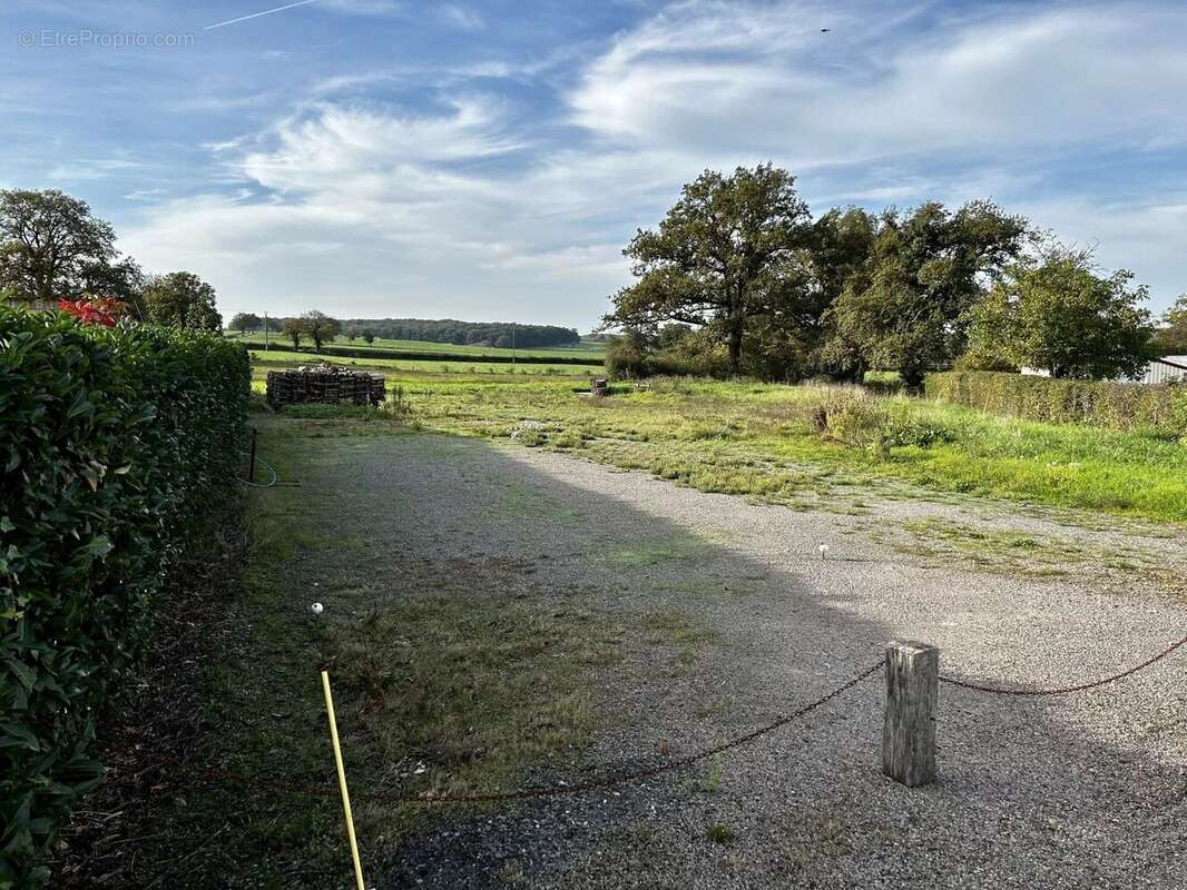 Terrain à SAINT-GERMAIN-CHASSENAY