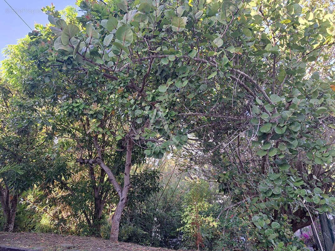 Maison à FORT-DE-FRANCE